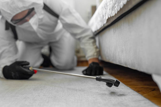 Professional Bed Bug Control technician working in Shasta County County, CA